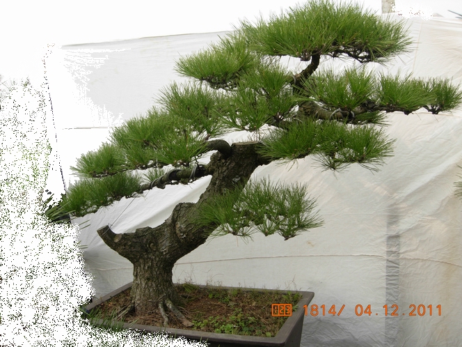 DSCN4733.JPG