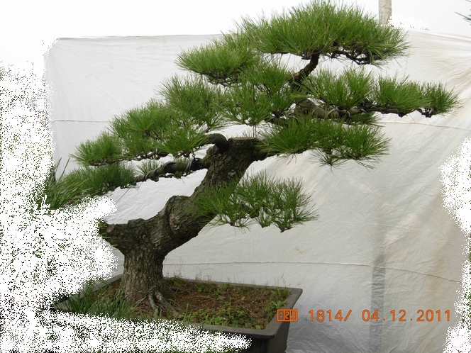 DSCN4734.JPG