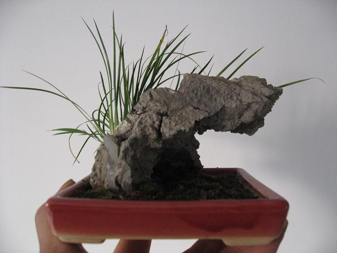 Ƭ 093.jpg