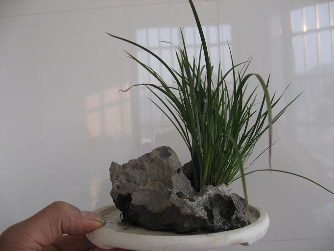Ƭ 091.jpg