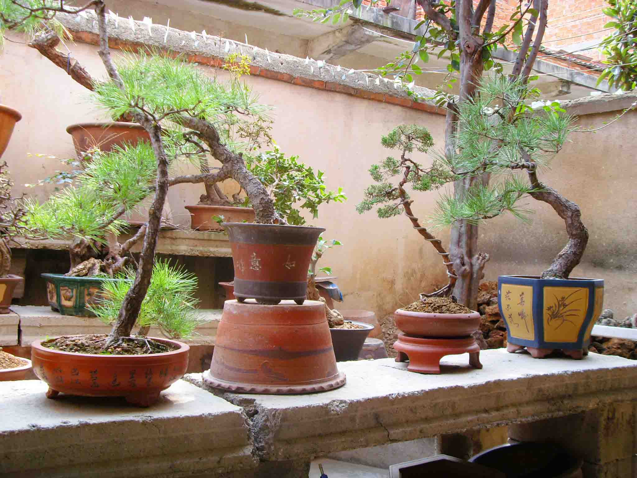 SDC12371.JPG