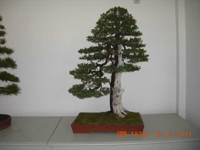 DSCN4846.JPG