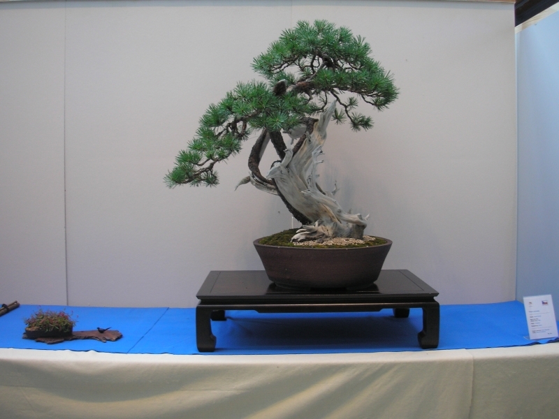 EBA Ratingen 01-10-2011 002.jpg