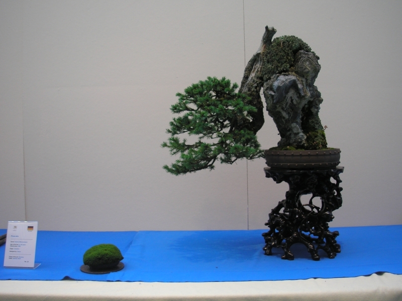 EBA Ratingen 01-10-2011 004.jpg