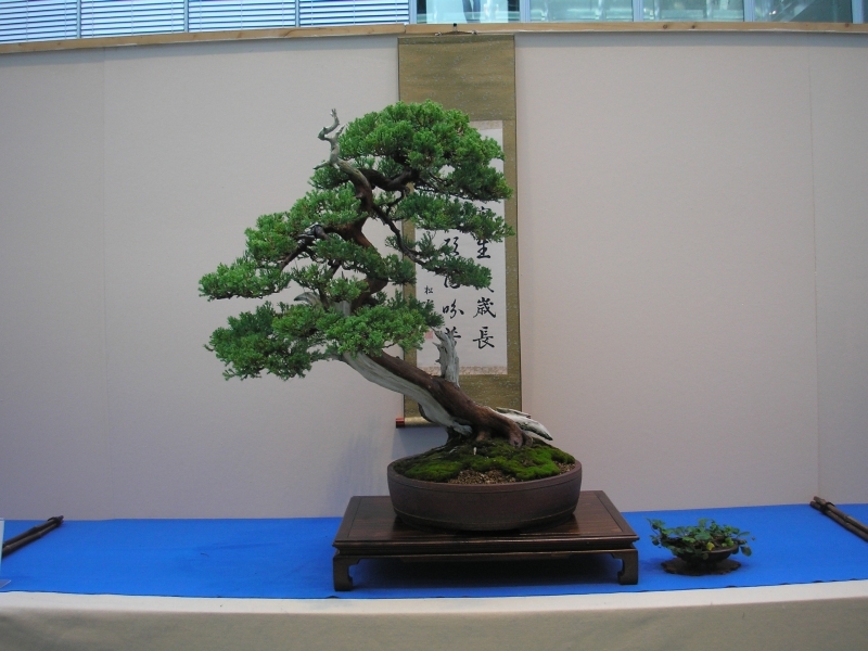 EBA Ratingen 01-10-2011 005.jpg