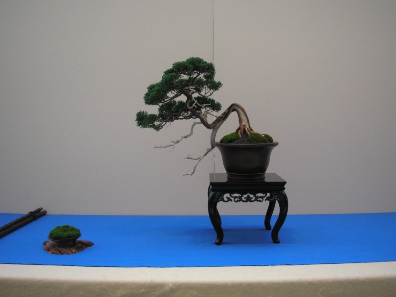 EBA Ratingen 01-10-2011 006.jpg