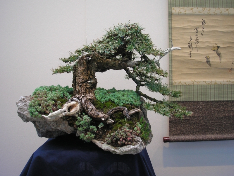 EBA Ratingen 01-10-2011 008.jpg