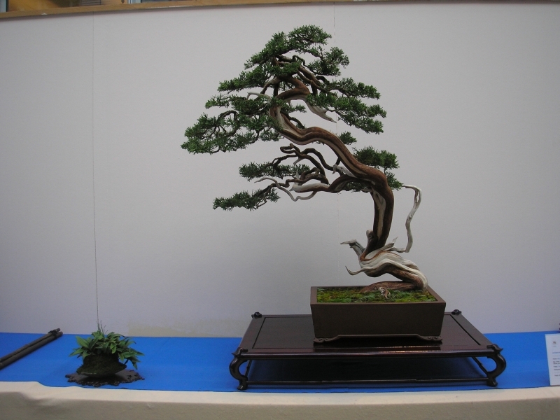 EBA Ratingen 01-10-2011 019.jpg