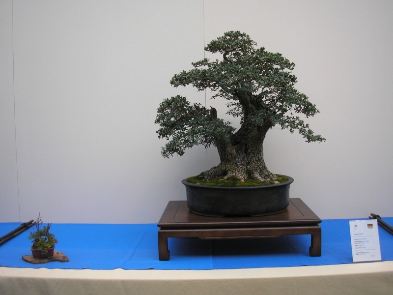 EBA Ratingen 01-10-2011 021.jpg