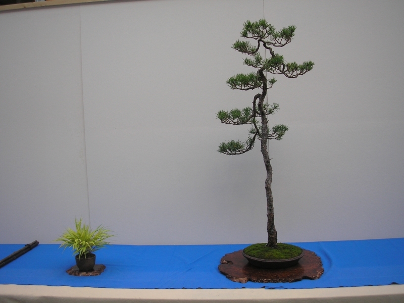 EBA Ratingen 01-10-2011 025.jpg