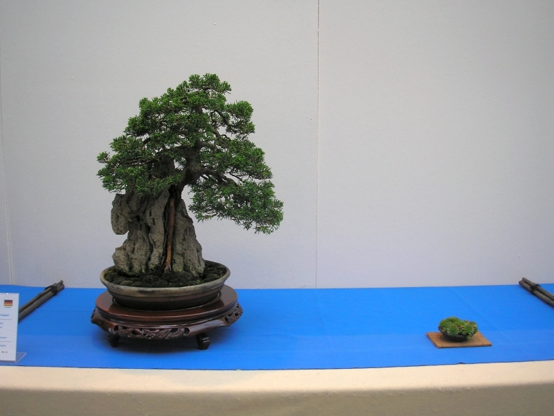 EBA Ratingen 01-10-2011 026.jpg