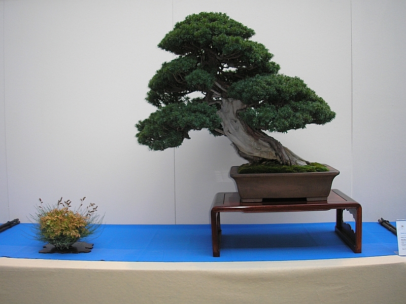 EBA Ratingen 01-10-2011 027.jpg