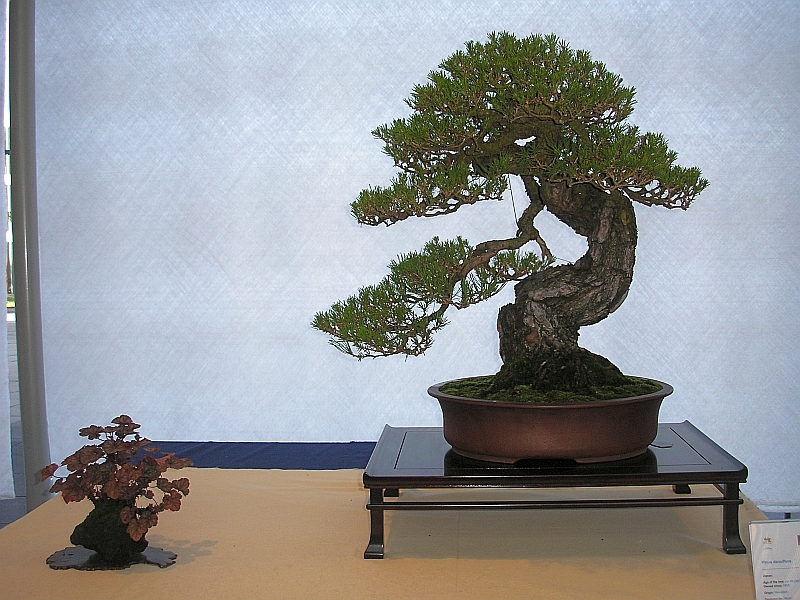 EBA Ratingen 01-10-2011 035.jpg