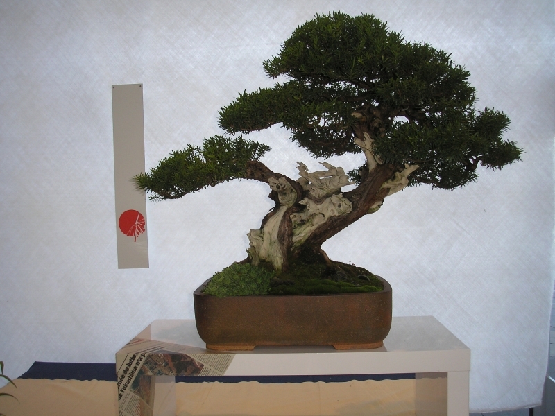 EBA Ratingen 01-10-2011 038.jpg