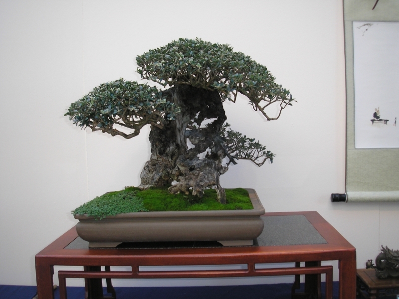 EBA Ratingen 01-10-2011 044.jpg