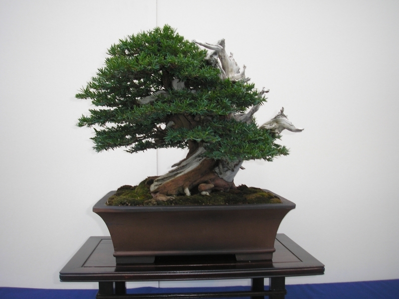 EBA Ratingen 01-10-2011 046.jpg