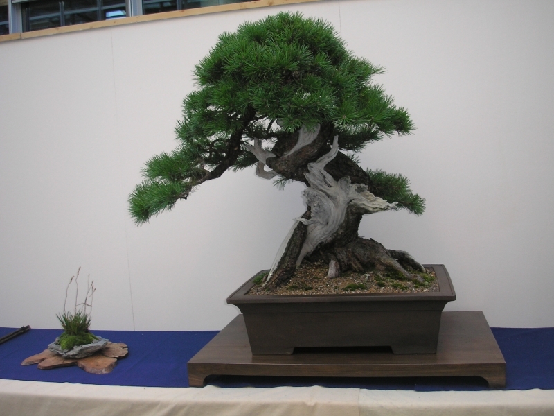 EBA Ratingen 01-10-2011 048.jpg