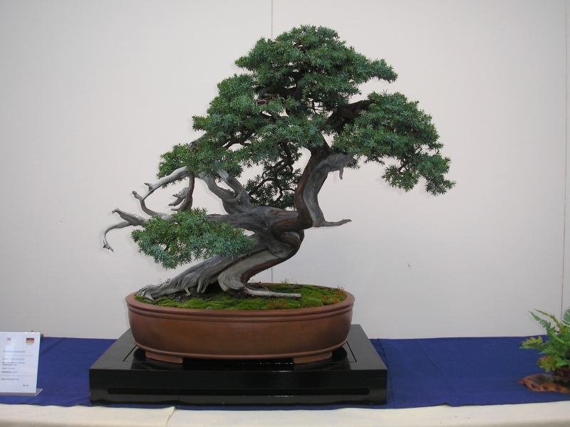 EBA Ratingen 01-10-2011 052.jpg