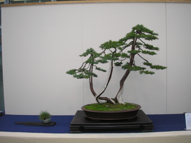 EBA Ratingen 01-10-2011 057.jpg