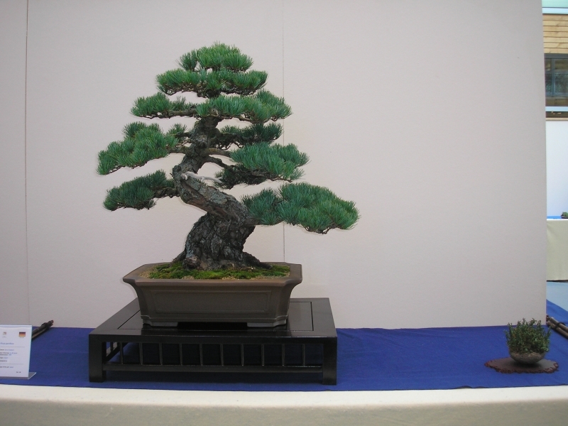 EBA Ratingen 01-10-2011 059.jpg