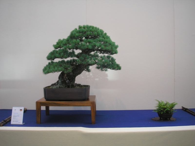 EBA Ratingen 01-10-2011 072.jpg