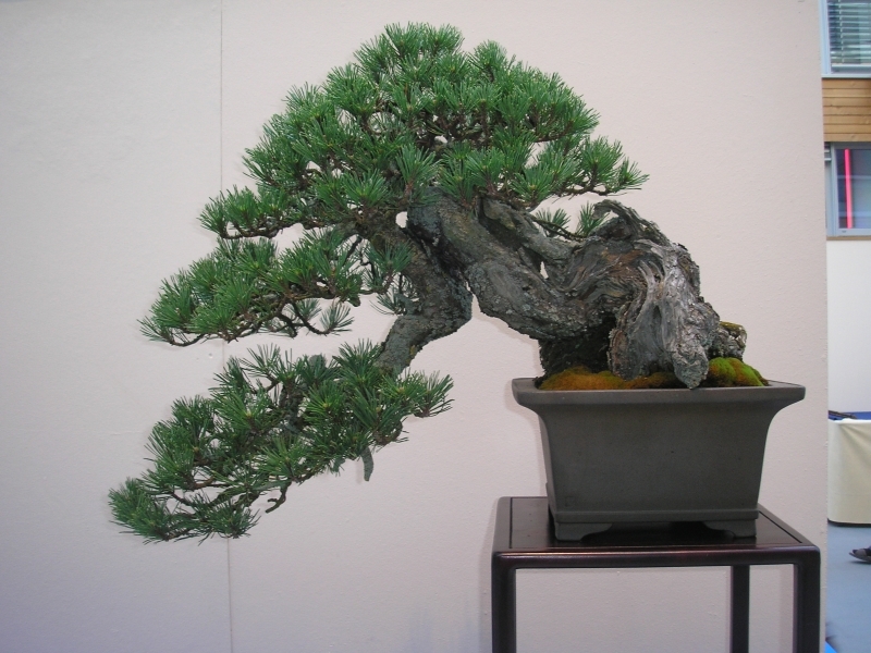 EBA Ratingen 01-10-2011 077.jpg