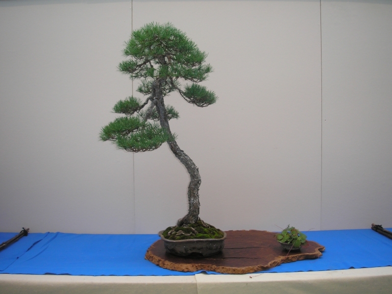 EBA Ratingen 01-10-2011 079.jpg