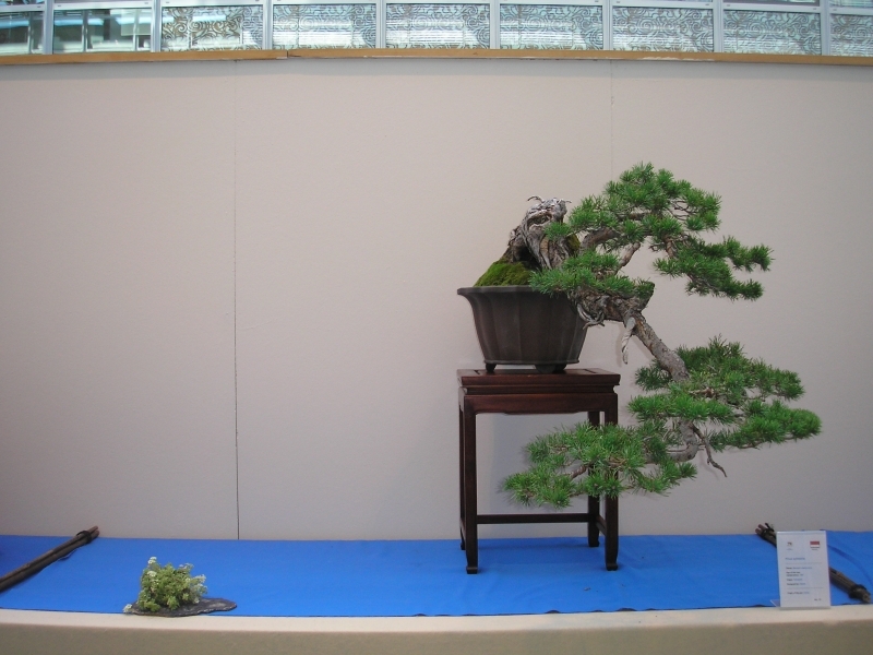 EBA Ratingen 01-10-2011 081.jpg