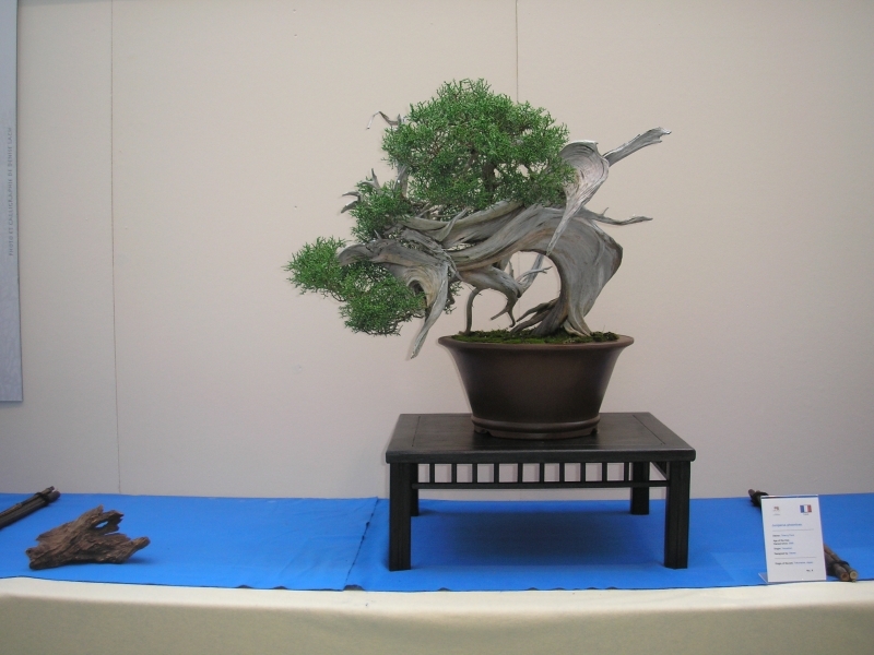 EBA Ratingen 01-10-2011 086.jpg