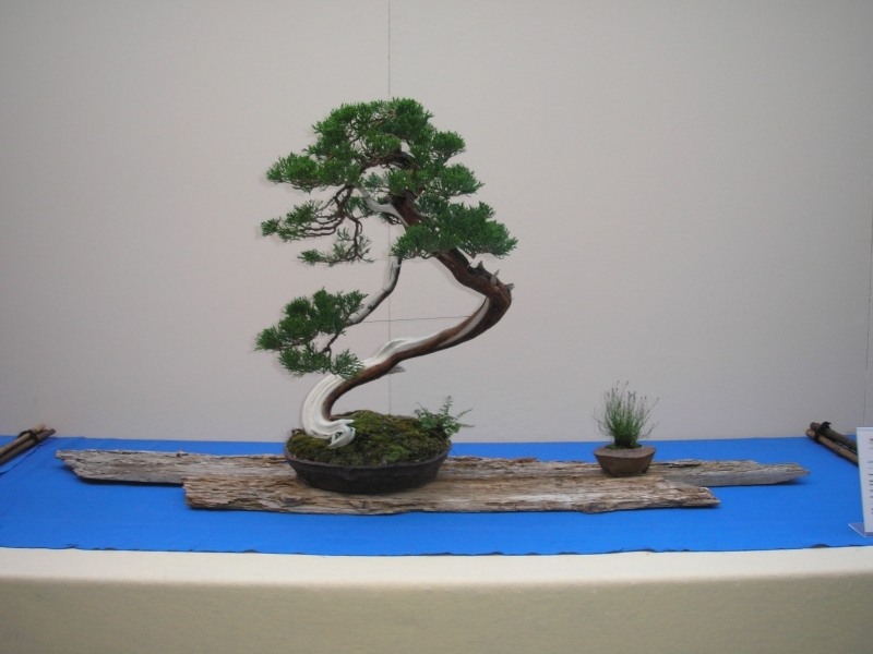 EBA Ratingen 01-10-2011 092.jpg