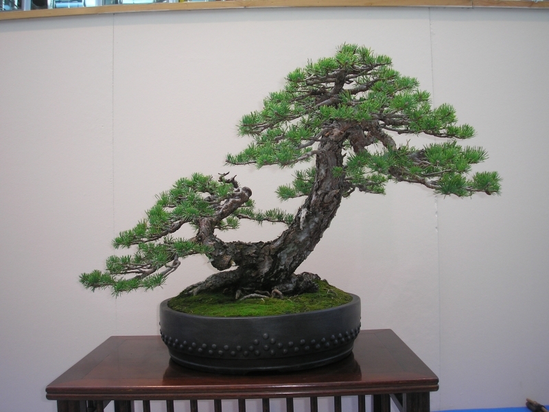 EBA Ratingen 01-10-2011 095.jpg