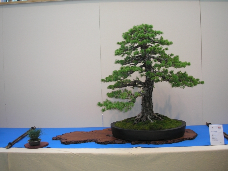 EBA Ratingen 01-10-2011 098.jpg