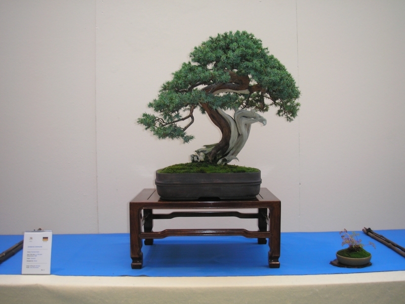 EBA Ratingen 01-10-2011 100.jpg