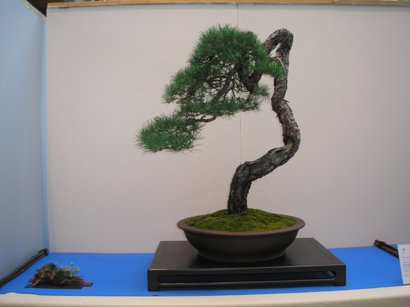 EBA Ratingen 01-10-2011 102.jpg