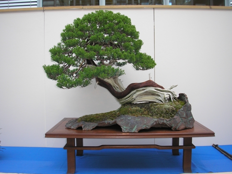 EBA Ratingen 01-10-2011 111.jpg