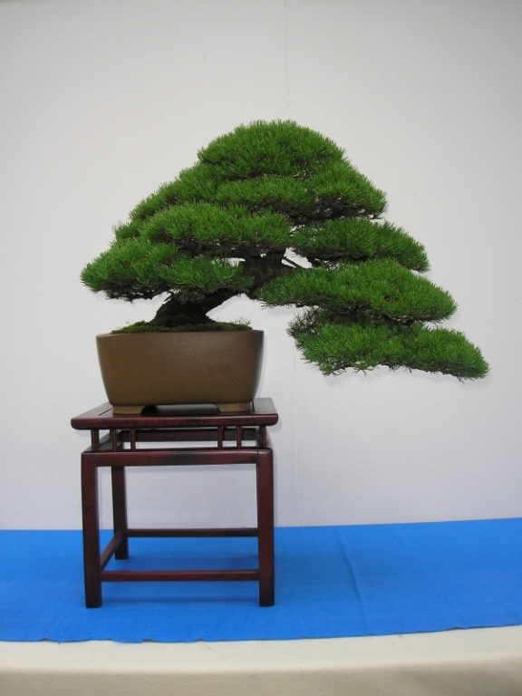 EBA Ratingen 01-10-2011 115.jpg