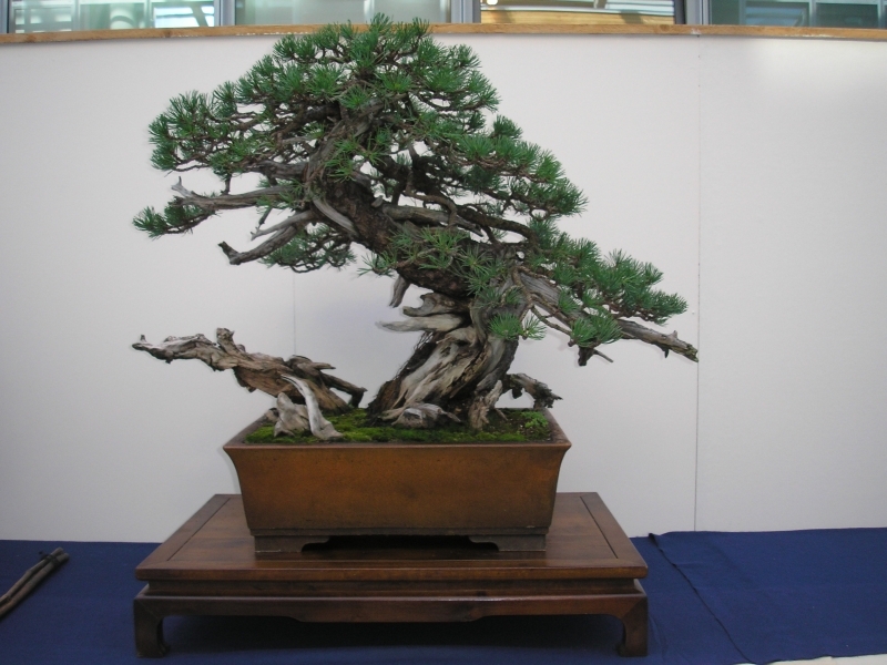 EBA Ratingen 01-10-2011 134.jpg