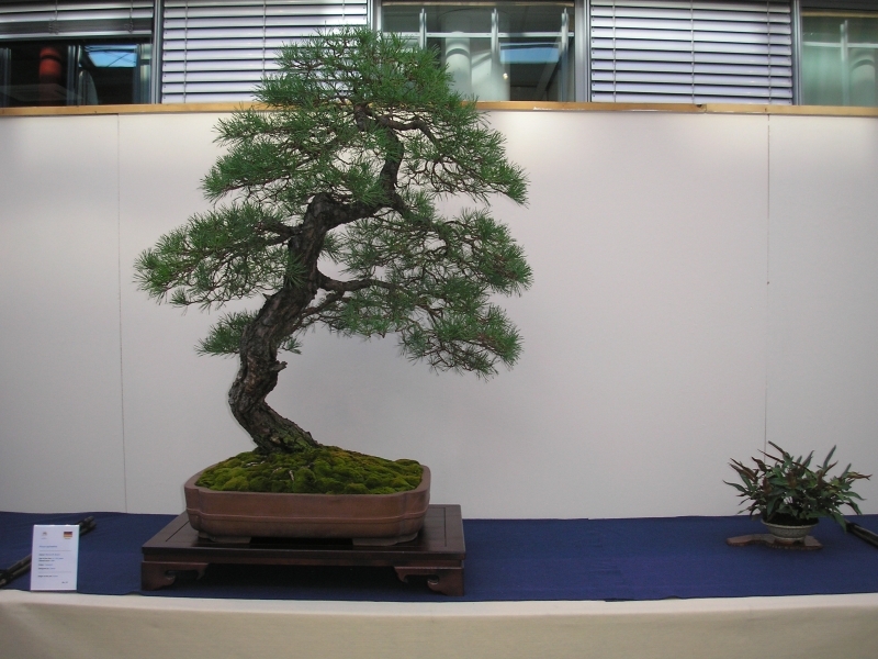 EBA Ratingen 01-10-2011 139.jpg