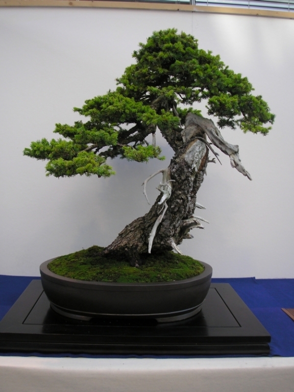 EBA Ratingen 01-10-2011 148.jpg