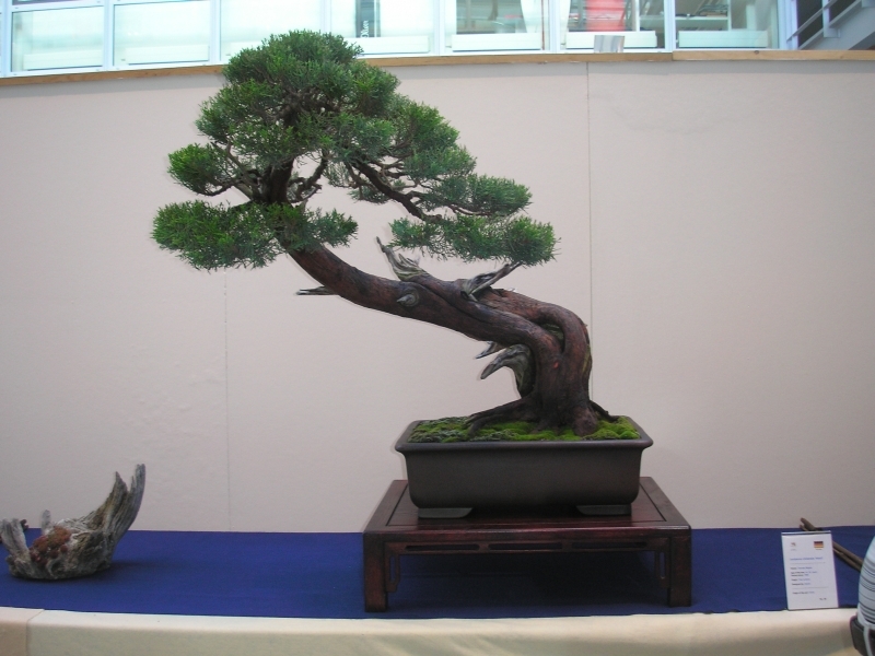 EBA Ratingen 01-10-2011 154.jpg