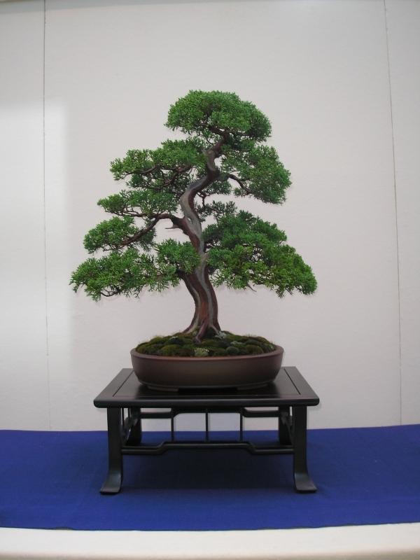 EBA Ratingen 01-10-2011 163.jpg