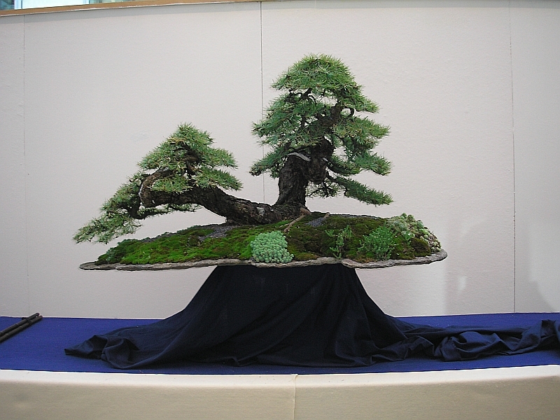 EBA Ratingen 01-10-2011 167.jpg