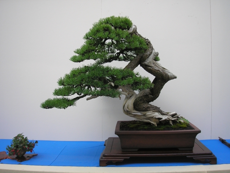 EBA Ratingen 01-10-2011 232.jpg