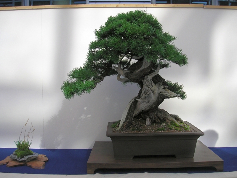 EBA Ratingen 01-10-2011 233.jpg