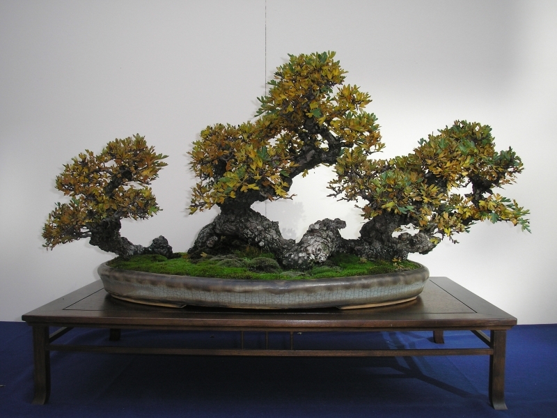 EBA Ratingen 01-10-2011 239.jpg