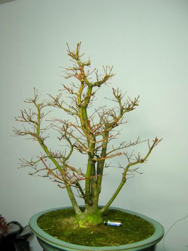 С ع ת IMG_0951.JPG