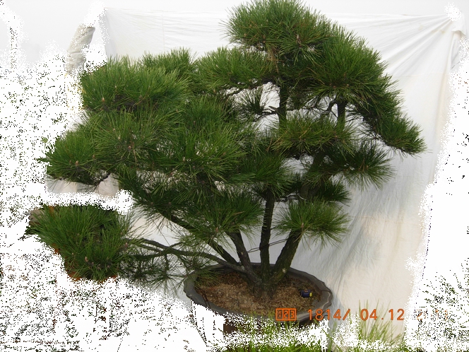 DSCN4742.JPG