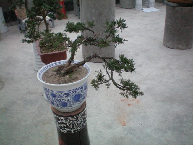 100_0757.JPG