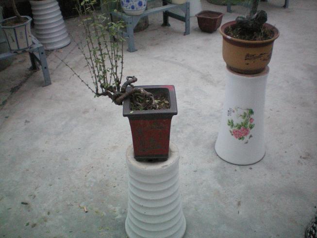 100_0760.JPG