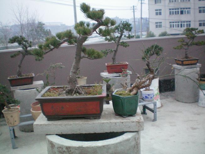 100_0763.JPG